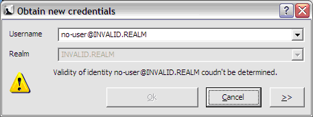 Credentials summary window showing an invalid identity