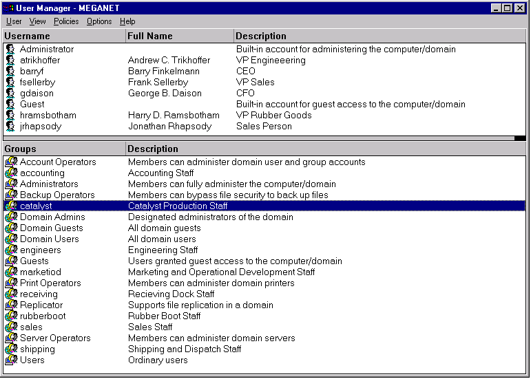 View of Accounts in NT4 Domain User Manager
